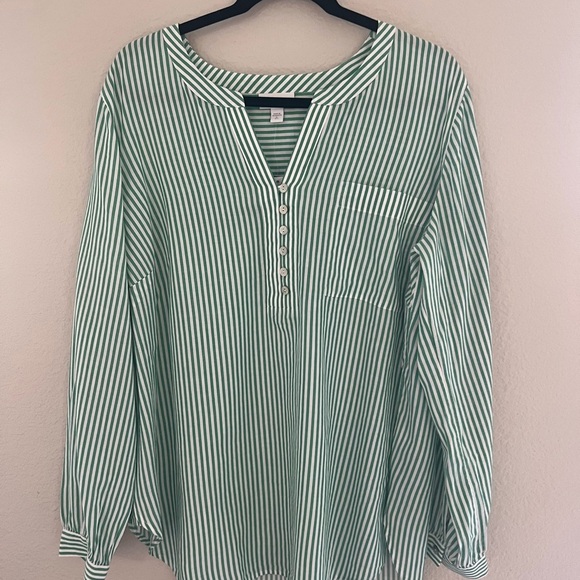 NWT J Jill blouse, Green and White stripe, Long Sleeve, XLT - Picture 1 of 4